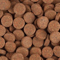 1 Kg Tropical Futtertabletten Staple Tablet Hafttabletten Fischfutter Welse