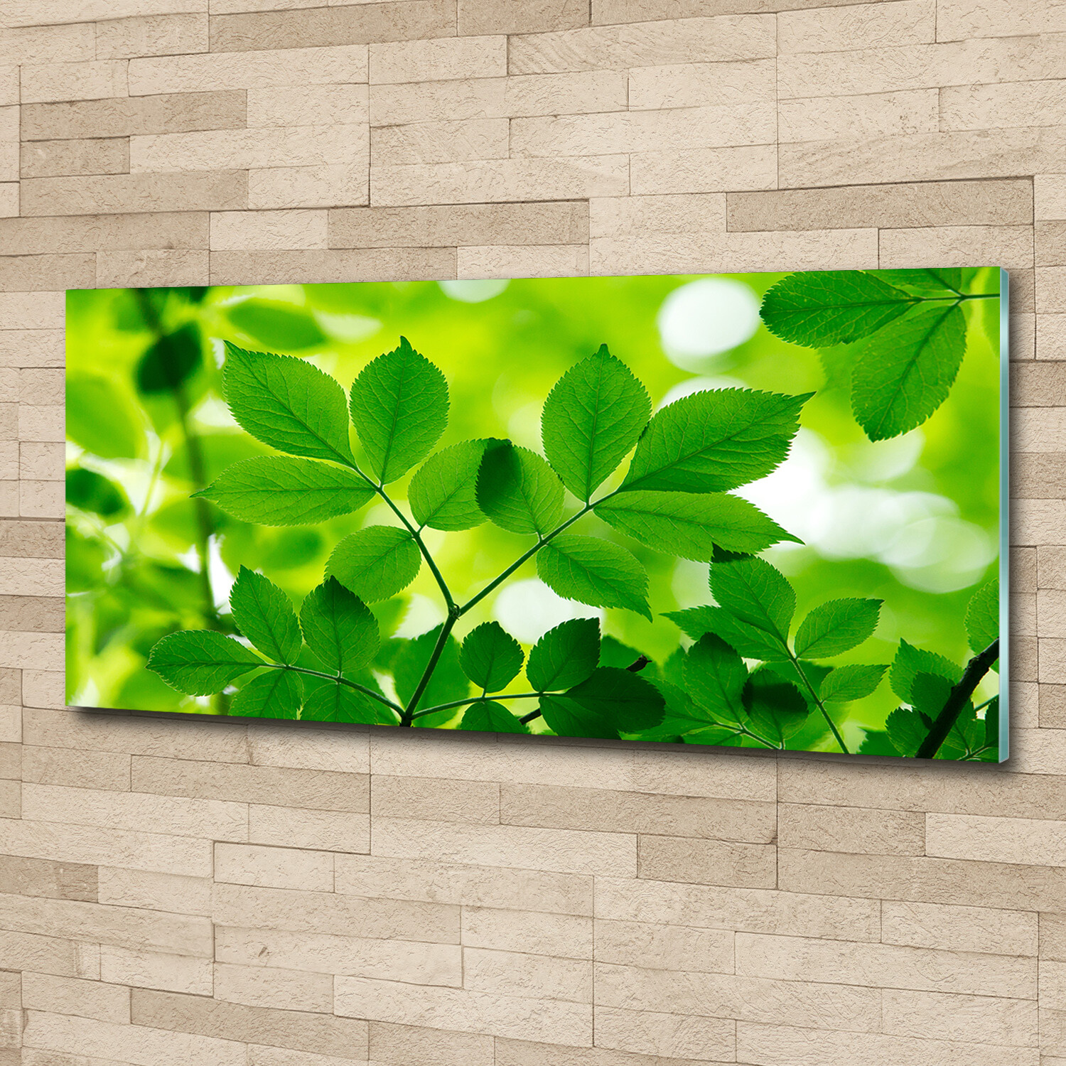 Wandbild aus Plexiglas® Druck auf Acryl 125x50 Blumen & Pflanzen Grüne Blätter