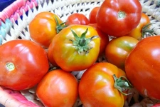 Corleone Sauce tomato - all the flavor of Italy