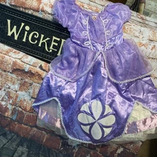 DISNEY STORE PRINCESS SOFIA THE FIRST GOWN COSTUME Size 4