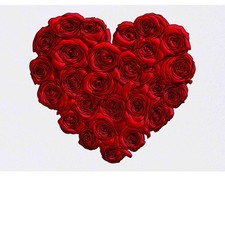 'Red Rose Heart' Temporary Tattoos / Transfers TO00046060 