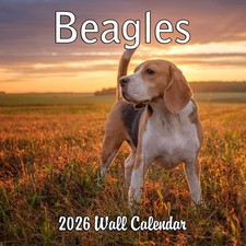 2026 Beagles Monthly Wall Calendar Dog September 2025 - December 2026