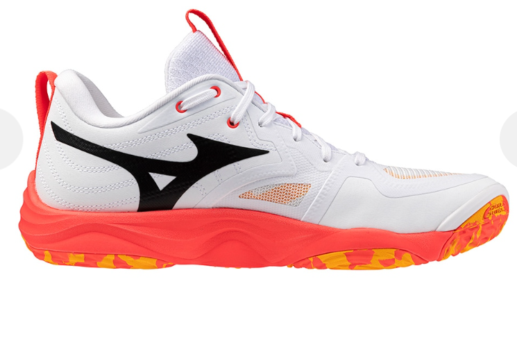 New Mizuno Volleyball Shoes Wave Momentum Elite V1GA2512 01 | eBay