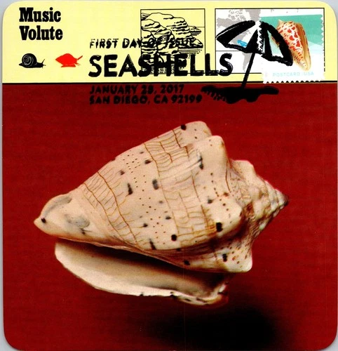 Dr Jim Stamps Maximum Card Alphabet Cone Shell Seashell Fdc