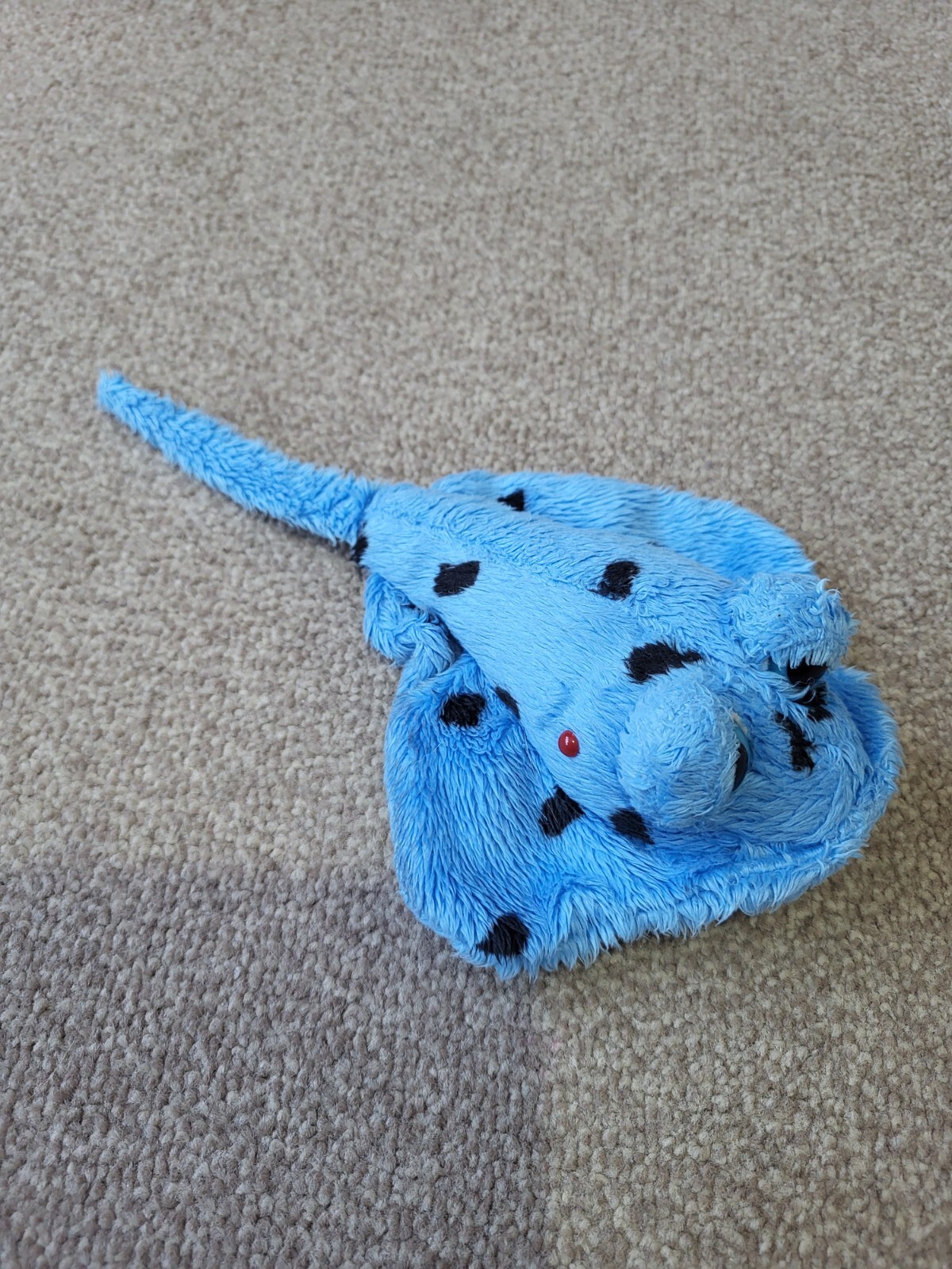 Picture 2 of 5