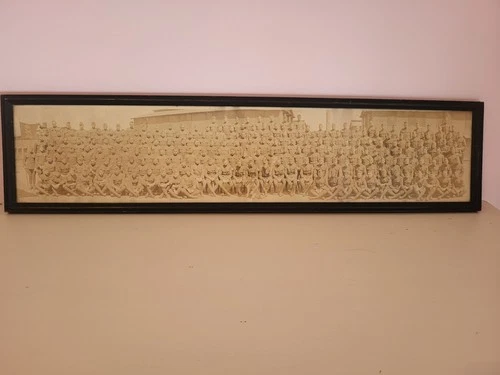 Antique WW1 Yard Long Photo German Shepherd Dog Front And Center 150 HQ