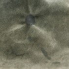Bild 8 von 12