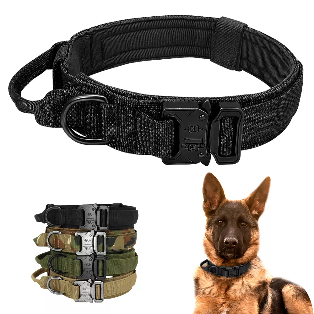Training collars for german cheap shepherds
