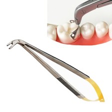 Dental Matrix Holder Clamp Matrices Hole Protrusion Placement