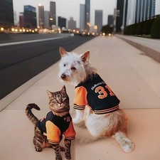 Boots Barkley Dog Pet JERSEY Costume Shirt, Halloween 31 Orange Black, Size S