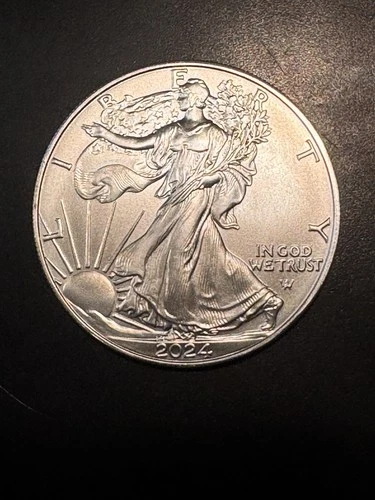 2024 Silver Eagle $1 Coin 1oz .999 Uncirculated