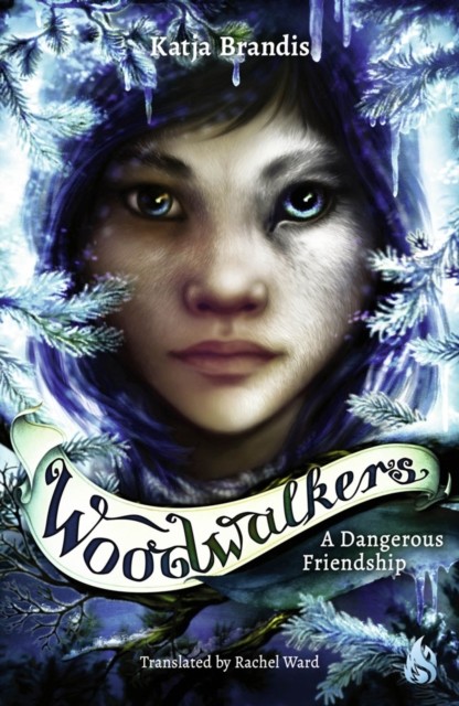 A Dangerous Friendship by Katja Brandis (Hardback Book)