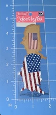 Jolee's By You & Jolee's Boutique Dimensional Stickers USA Map