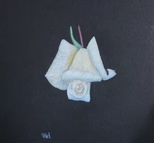  WHITE ROSE Pencil Drawing Flower Drawing ROSE Flower Drawing Floral Drawing