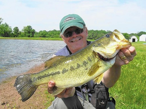 25 pk 5" Senko-style worm - WATERMELON PEARL LAM / BABY BASS - SCENT & SALT-USA - Picture 8 of 8