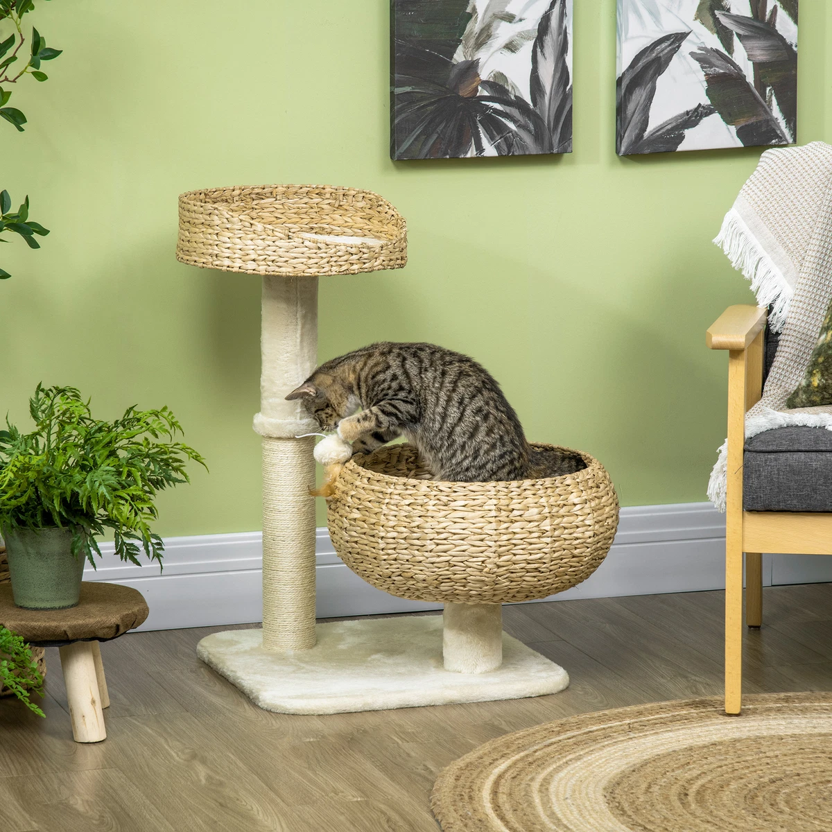 Cat deals tree basket