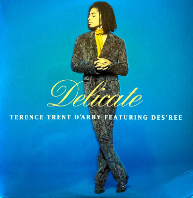 Terence Trent D'Arby Featuring Des'ree CD Single Delicate - Europe (VG+/EX+)