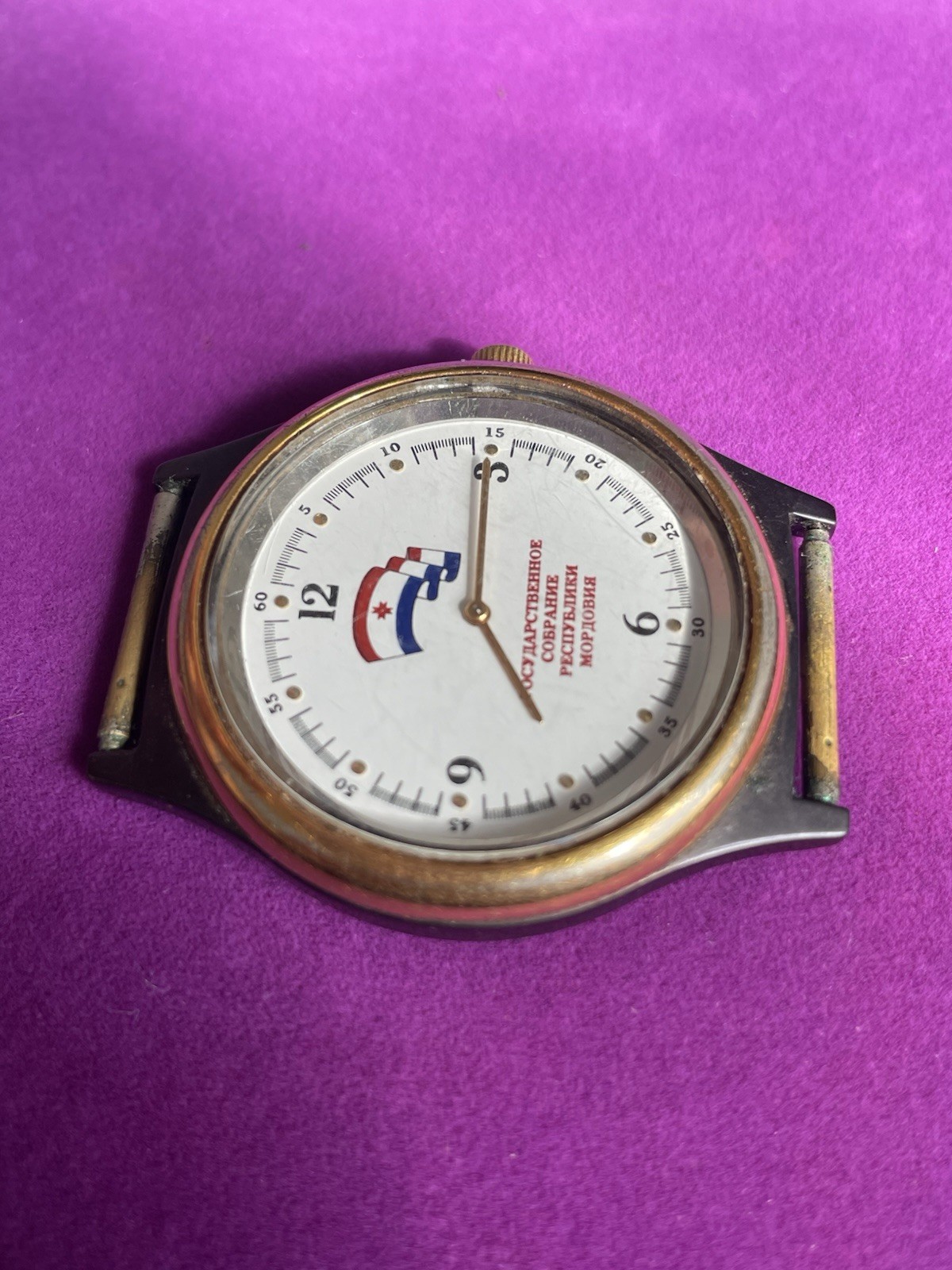 USSR Vintage Soviet Mechanical Wristwatch Chaika State Assembly of the Mordovia