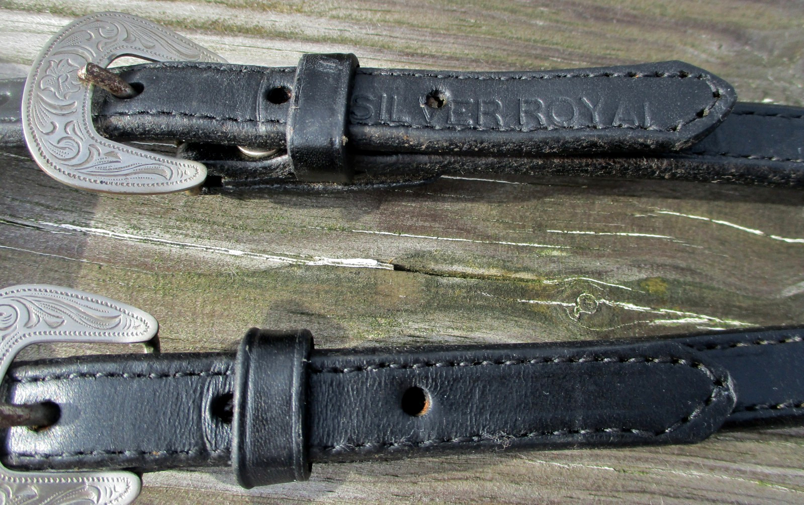 Silver Royal Classic Silver one Ear Show Headstall-Performance-Barrels-Training