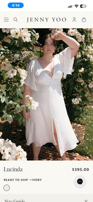 Jenny Yoo  Lucinda  Wedding dress size 18