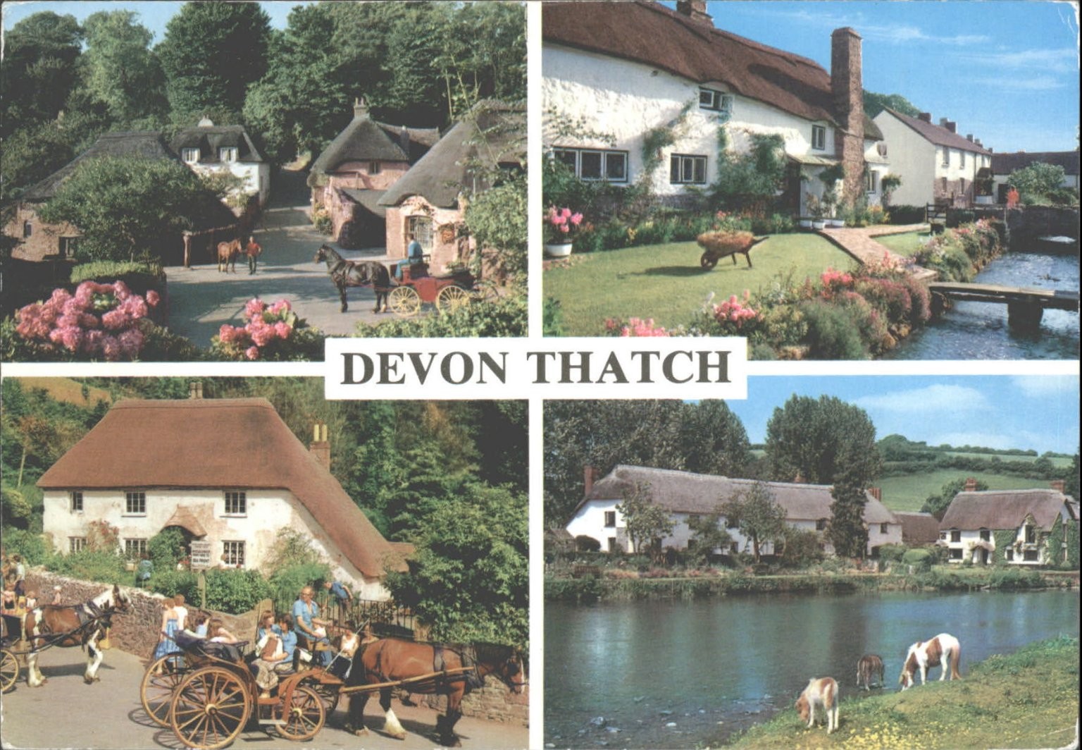 Vintage John Hinde DEVON THATCH Postcard UK Thatched Cottages Horses