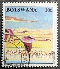 Botswana 1994 10t Lesser Flamingos SG793 used stamp