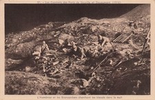 55 VERDUN LES FORTS DE SOUVILLE ET DOUAUMONT