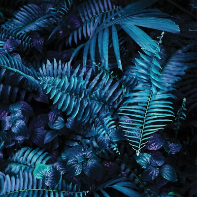 FARN Botanisch Vliestapete FOTOTAPETE Vlies Pflanzen Blätter Exotisch Botanic