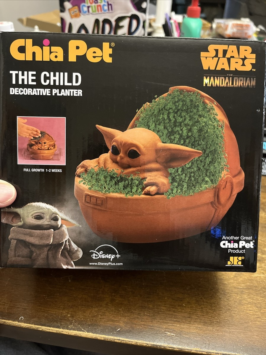 Chia Star Wars The Mandalorian The Child Baby Yoda Disney