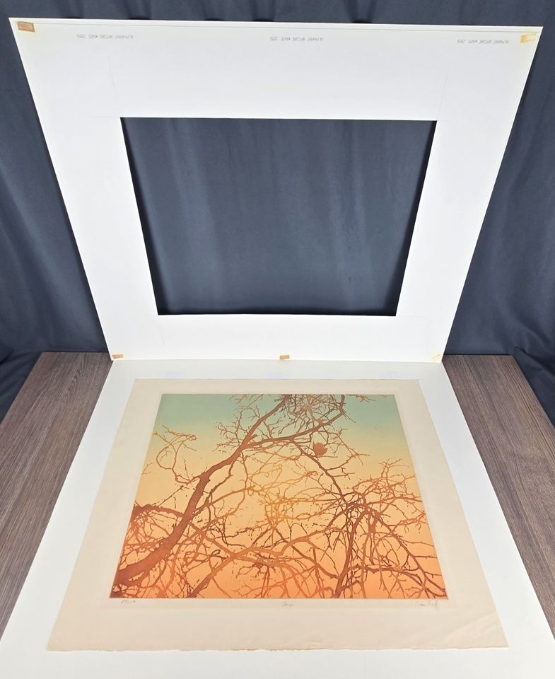 Brian Braff signed numbered print / etching titled