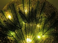 10 Stück Deko Tannenzweige 27cm künstliche Tanne Weihnachten Spritzguss Bund 