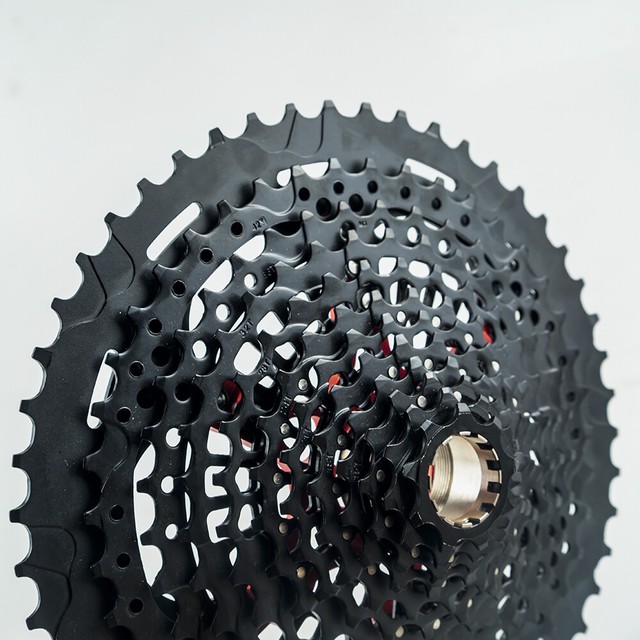 12 speed freewheel