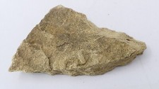 Flagstone Rock Sample from South Yorkshire Geological Specimen