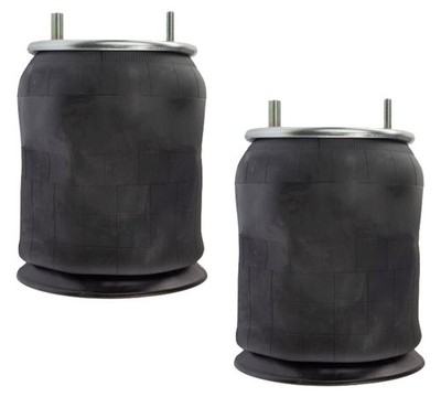 2 Pack Rolling Lobe Air Spring Bag Replaces 1R12256 003319 1099321 201335 3319