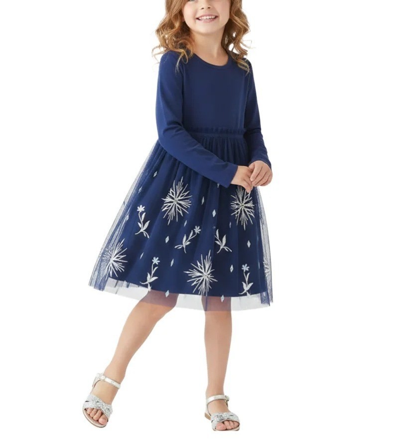 Disney Hanna Andersson Size 10 Frozen Princess Embroidered Tulle A-Line  Dress
