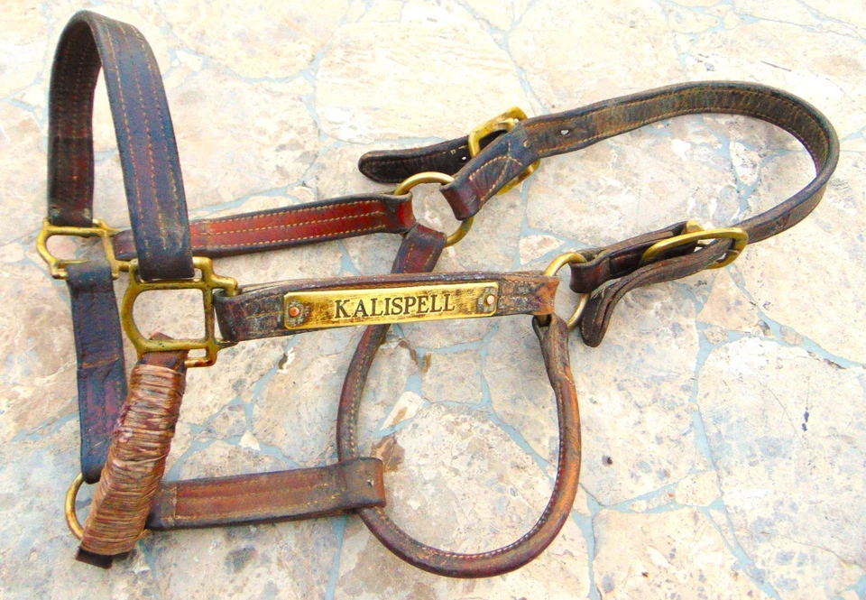 ANTIGUO 1920 "WALSH" CUERO Y LATÓN CUERO HALTER ~ CABALLO COMPLETO ~ TRIPLE PUNTADA Foto 4 de 4