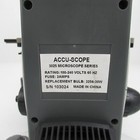 Foto 10 di 12