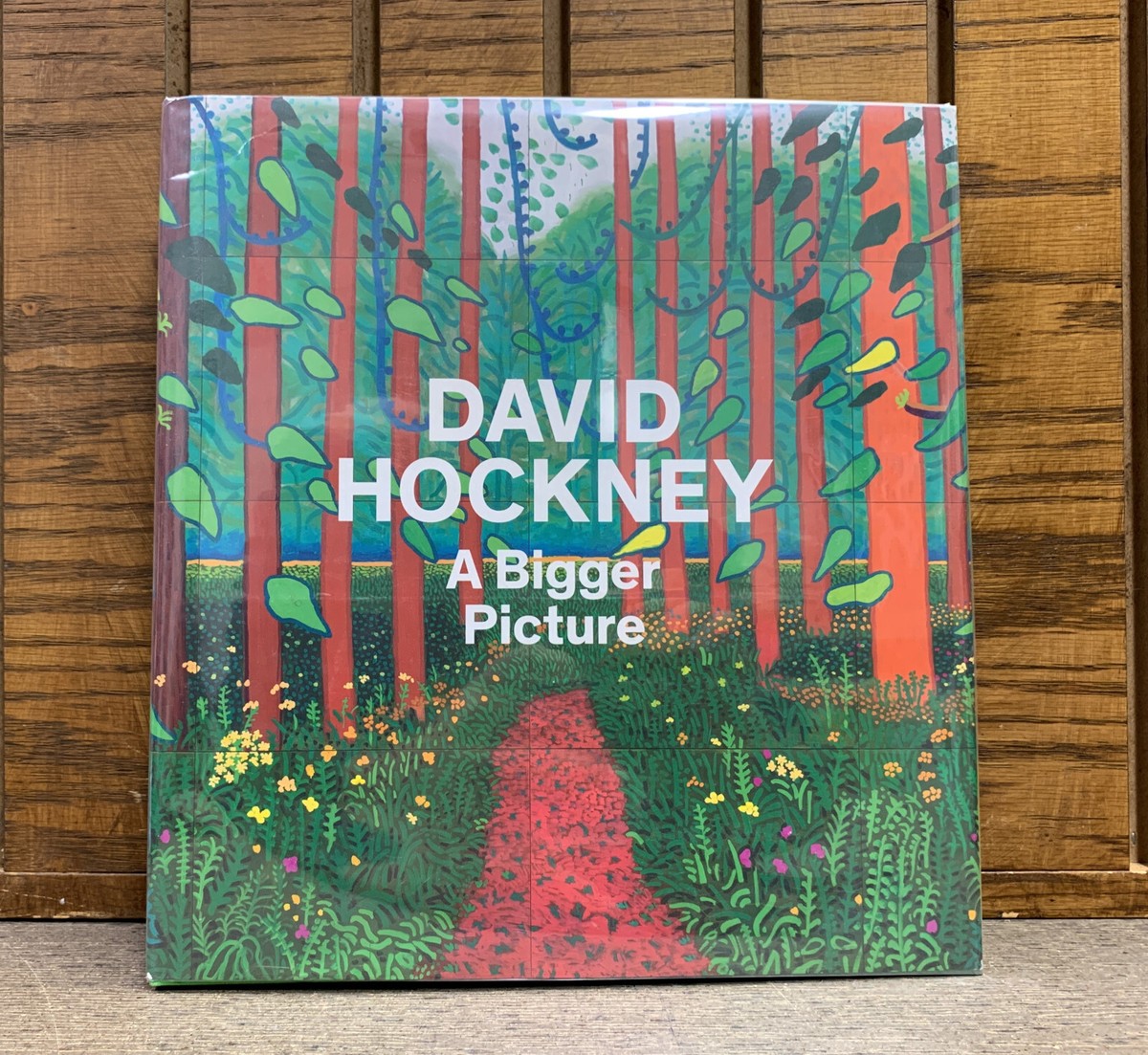 DAVID HOCKNEY A BIGGER PICTURE large hardcover art book Abrams | eBay