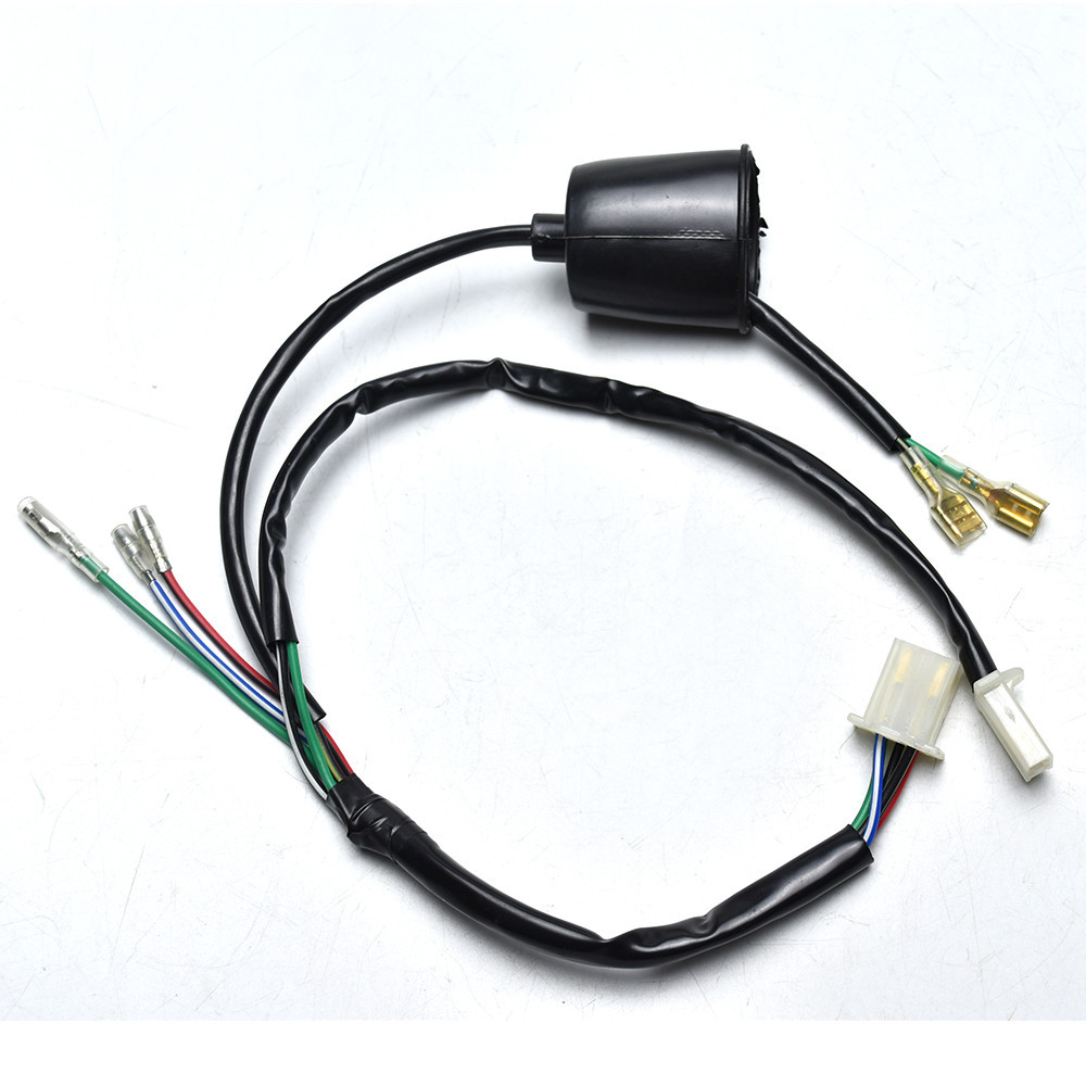 Bobina Di Accensione 12V Per ATV Quad Go Kart Moto Da Cross 50CC-125cc - CO30