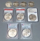 Huge Silver Lot of 9oz PCGS ms70 Silver Eagle NGC MS70 Silver Eagle +