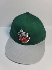 Fort Wayne Tincaps Hat Cap MiLB Baseball Cap One Size Fits Most Hook and Loop