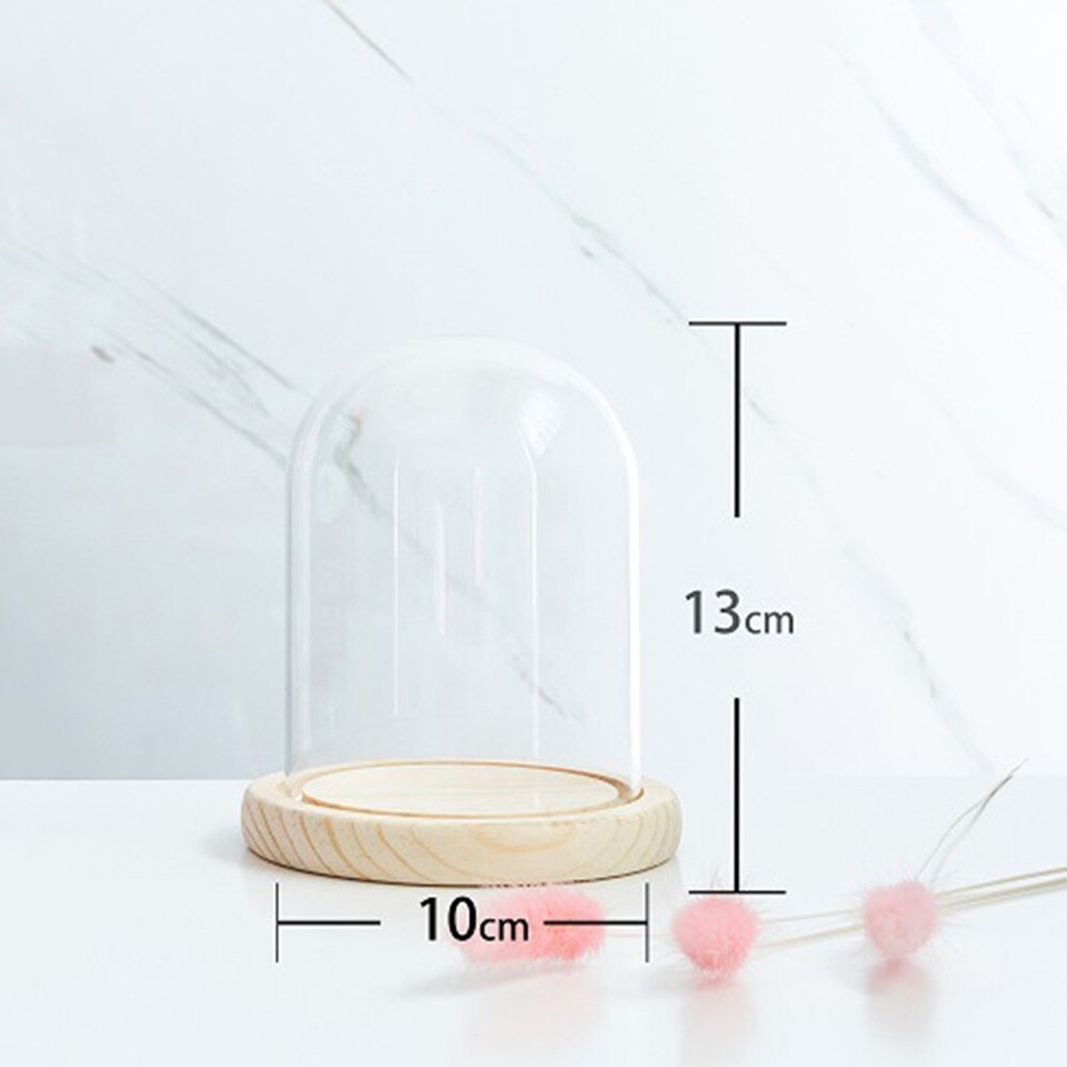 Clear Glass Dome Display Bell Jar Cloche Wood Base Figure Storage