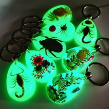 Llavero Luminoso Ámbar Insecto Adorno Regalo Vacaciones Cangrejo Caballito de Mar Hormiga Flor