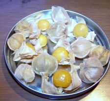 tomatillo PINEAPPLE TOMATILLO 63 SEEDS! GroCo - FREE SHIPPING w 15 ITEM PURCHASE