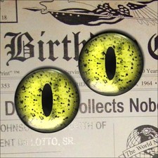 15mm Reptile Eyeballs Glass Animal Eyes Doll Sculpture Craft Set