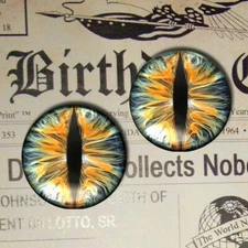 Colorful Cat Eyes Realistic Glass Taxidermy Eyeball 16mm Set