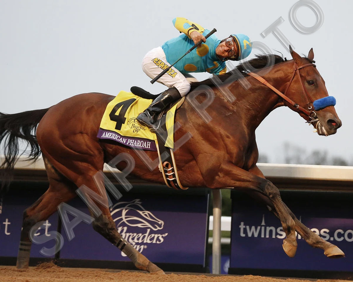 Breeders' Cup Horse Racing Fan Apparel & Souvenirs for sale | eBay