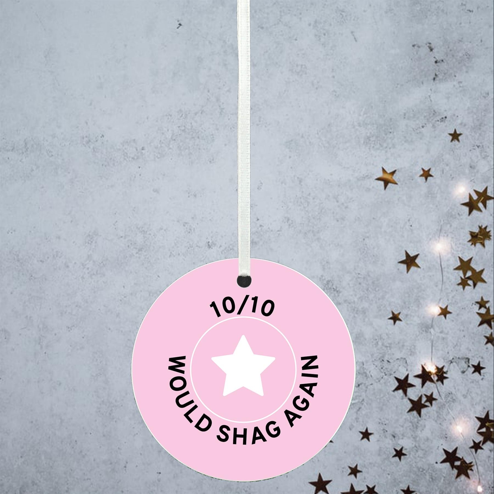 Would Sh*g Again Humour Themed Funny Decorative Bauble Secret Santa Gift Idea