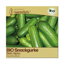 BIO Gurken Samen Sorte Beth Alpha Gemüsesamen BIO Gemüse Saatgut samenfeste Gurk