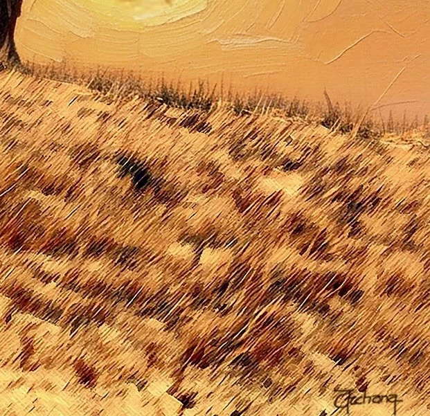 原版 36x36 油画雄伟的美国野牛水牛在山上日落 — 第 2/3 张图片